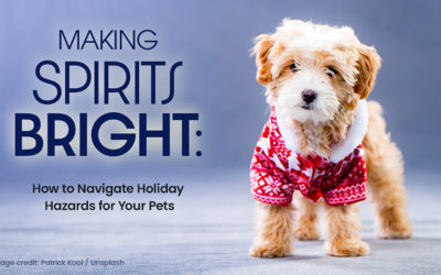 Making Spirits Bright: How to Navigate Holiday Hazards for Your Pets